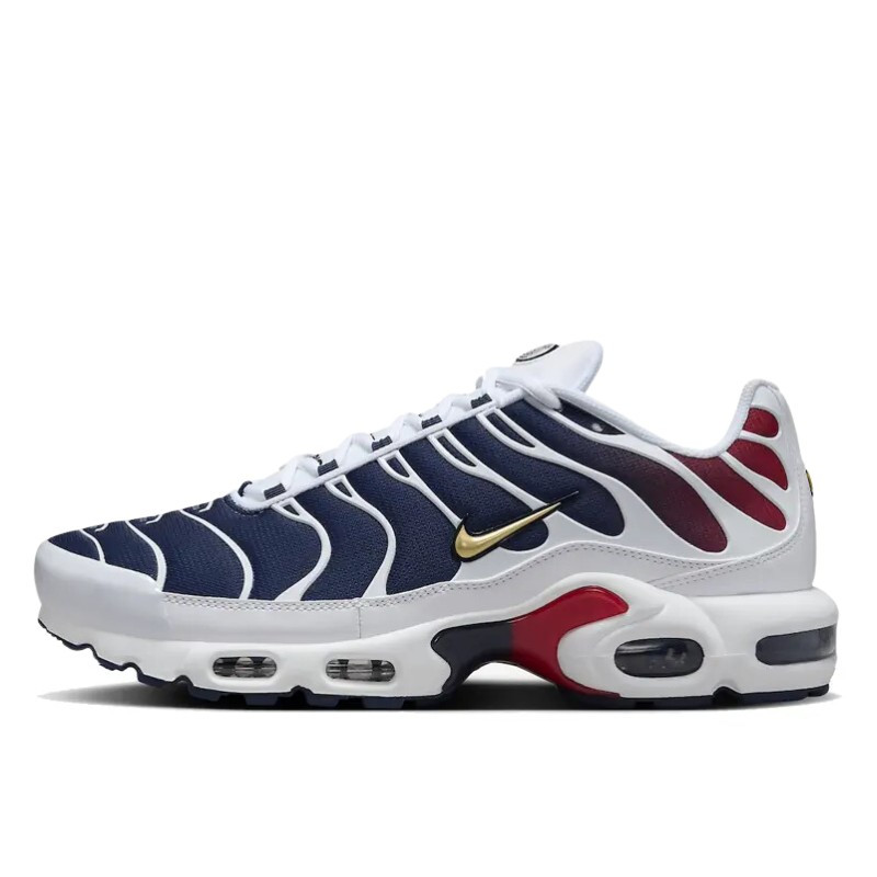 Air Max Plus PSG - 1