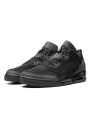 Air Jordan Spizike Low Black Cat - 1