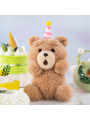 Pop Mart Ted2 Teddy Bear Action Plush Pendant Series Single Blind Box - 4