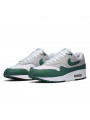 Air Max 1 Anniversary Green 2020--DC1454-100-Limited Resell 