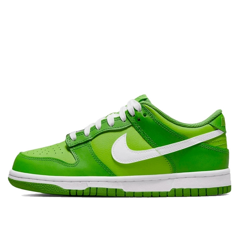 Nike Dunk DJ6188-300