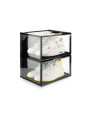 Lot de 2 boîtes de rangement sneakers Crates Crep Protect v2 - 1