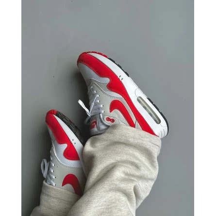 NIKE AirMax1 Anniversary Red 27cm 希少　レア NIKE AirMax1 Anniversary Red 27cm 希少 レア AIR MAX 1 ANNIVERSARY